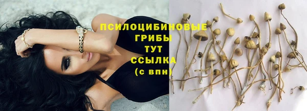 кокаин Алексин