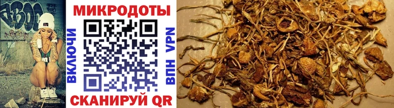 Псилоцибиновые грибы Magic Shrooms  mega ONION  Пудож 